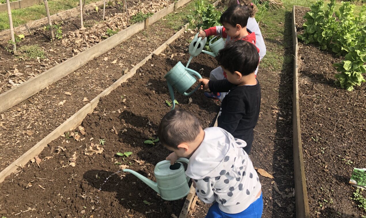 I bambini e l’orto